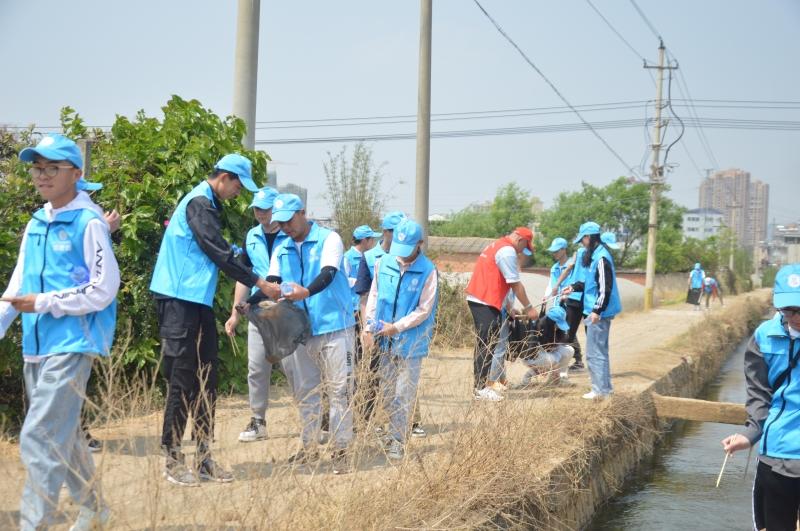 河道清理 1.JPG 河道清理 1.JPG